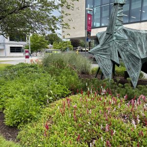 University of Galway Campus University of Galway Campus