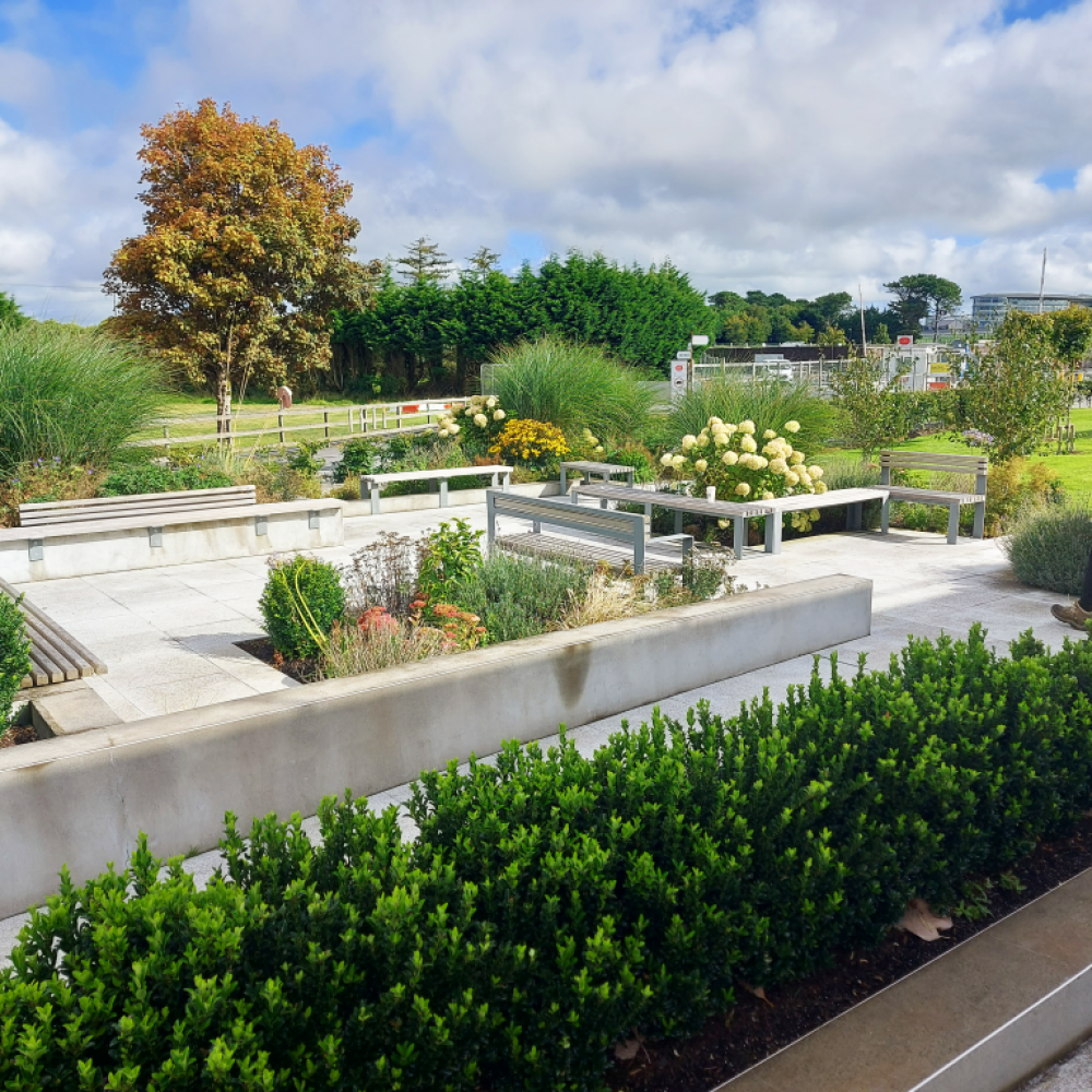 Boston Scientific Boston Scientific