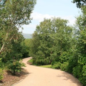 Large west of Ireland Garden