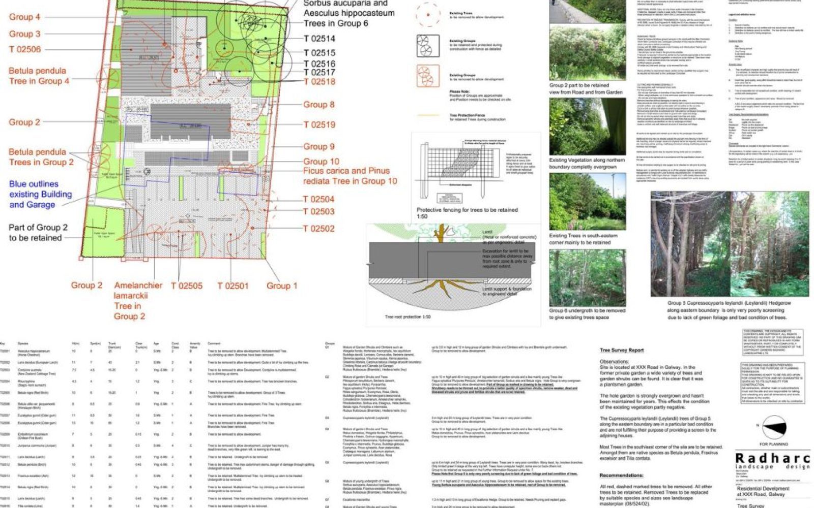 tree-survey-design